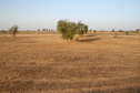 #3: View east from the Confluence