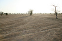 #5: View west from the Confluence