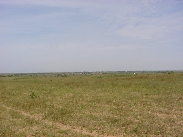 Looking west toward the ocean and the tall dunes marking the beach