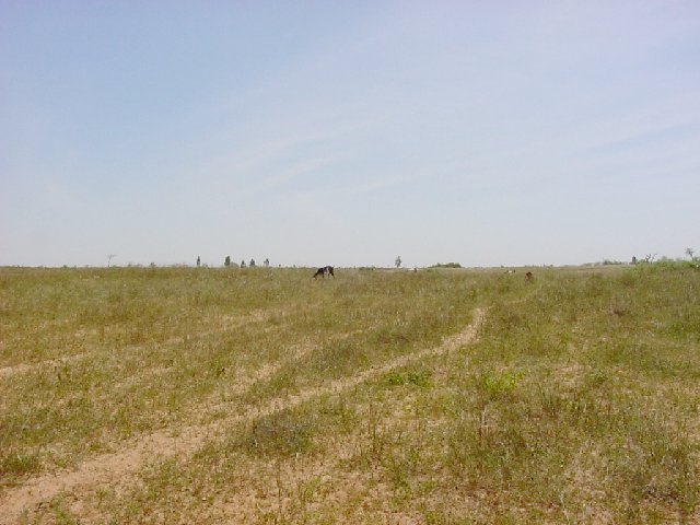 Looking east inland into Sénégal