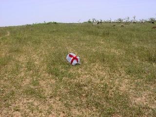 #1: The flag on the Confluence in a pasture
