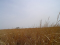 #2: East
