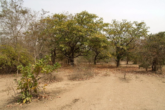 Near confluence point