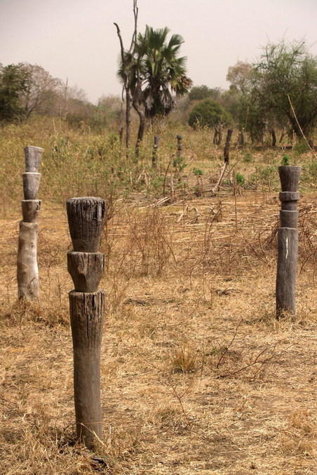 Sacrificing place with altars