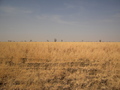 #2: North