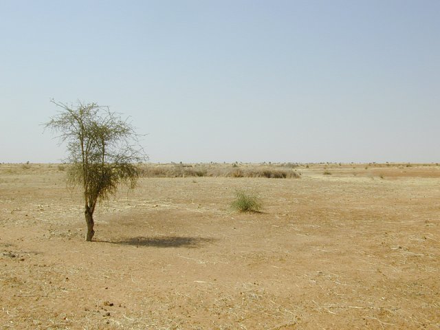 West view from Confluence