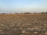 #3: View to the East