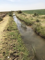 #11: Irrigation channel