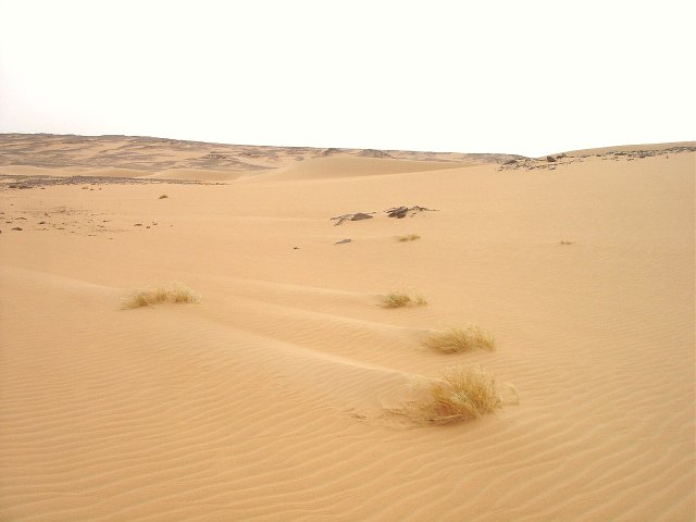 A sand filled valley took us off the plateau and away from 19N 30E