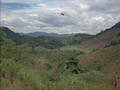 #4: NE View from the Confluence (there were dragonflies everywhere)