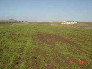 #1: General view with horse farm in background