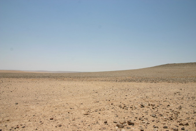 View to the South