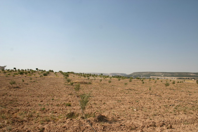 View from the North