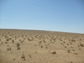 #2: From the Confluence looking south