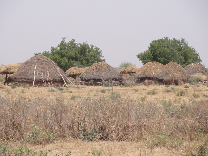 Peul village