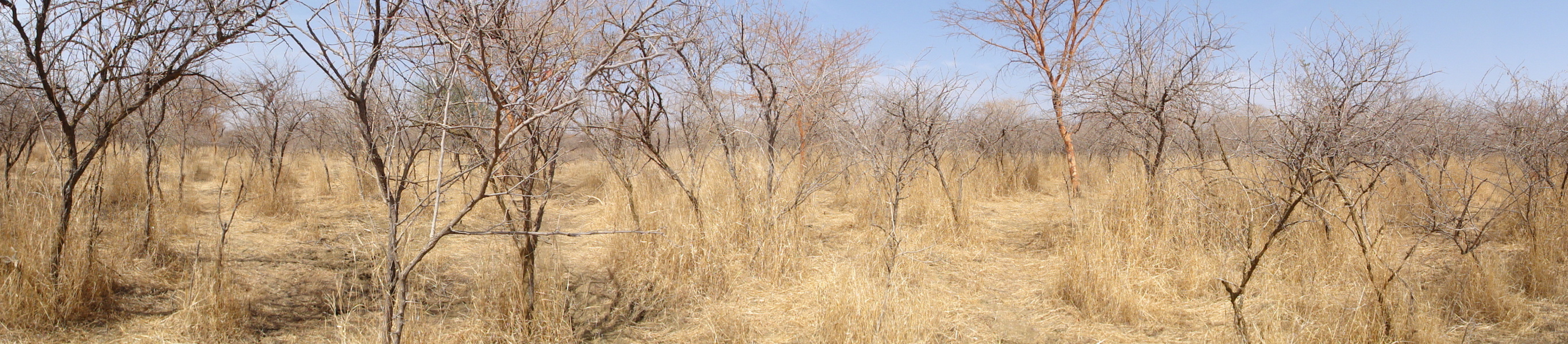 Panoramic view shot from the confluence