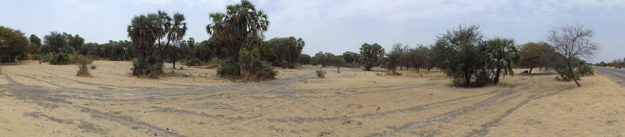 Panoramic view from the road to Hadjer el Hamis