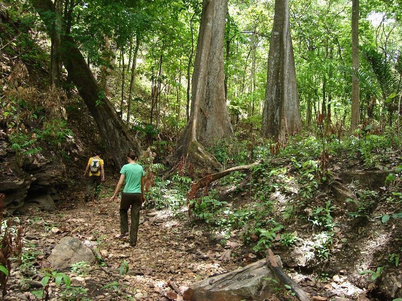 Return hike via river bed was much easier