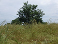 #2: East of the Confluence