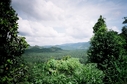 #7: View