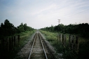 #7: Tracks to the south
