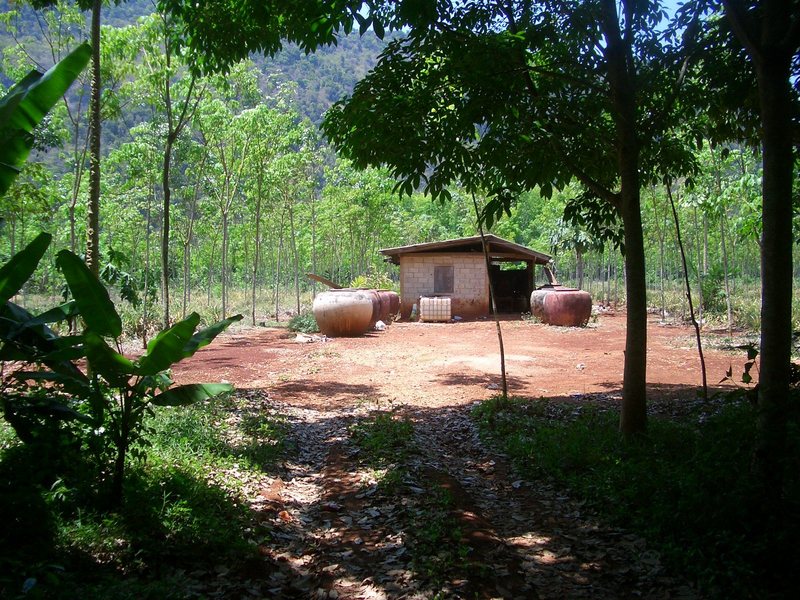 Hut seen from near the confluence point