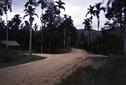 #7: The way to the confluence is to the right. About 50 meters straight  ahead there's a residential house with a red spirit house.