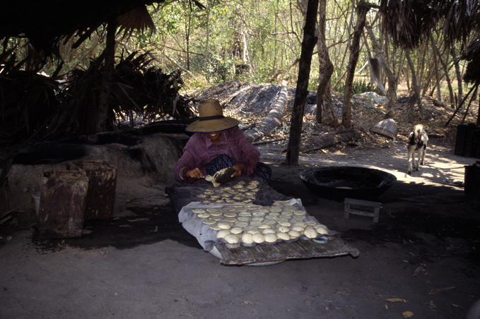 Inside sugar making hut; note big pan to right and fire pits to left