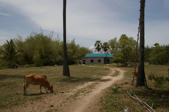 #1: General view of the confluence area (looking north)