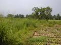 #3: From the Confluence Point looking North