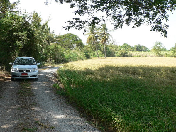 View to the West, car is approx. 15m from confluence.