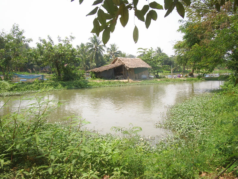 Nearby river idyll 