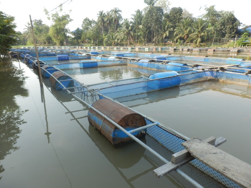 Nearby Floating Fisher Nets 