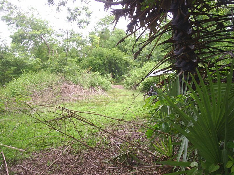 View west from the confluence