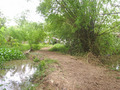 #3: View east from the confluence