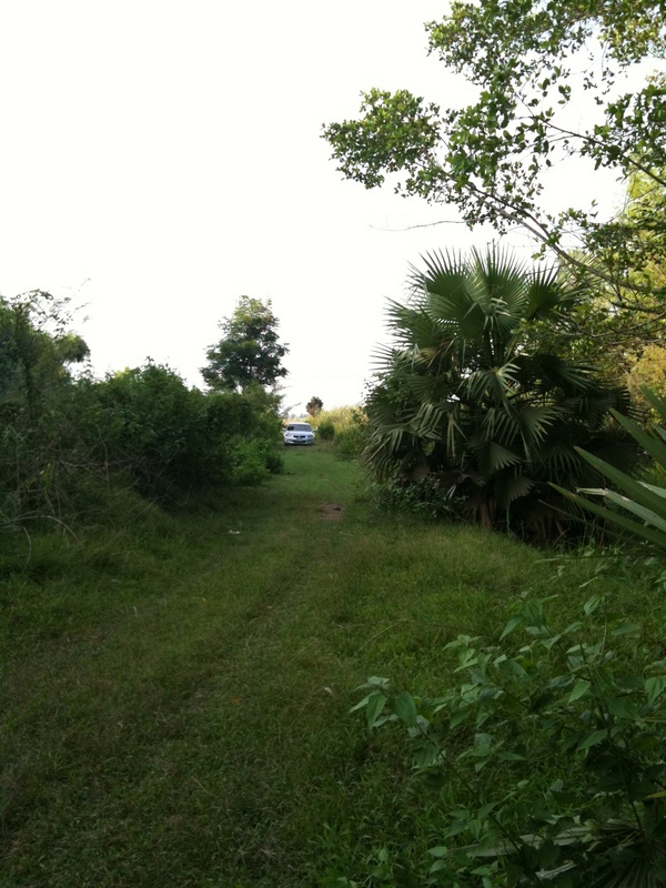 Path leading to the confluence point