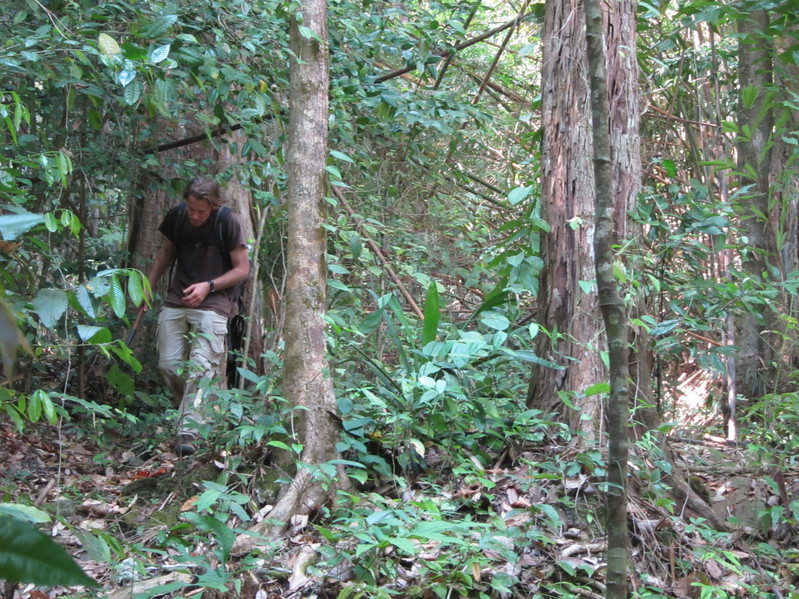 Greg, hacking through the jungle with machete.