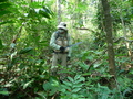 #10: Jason vs the jungle.  Any takers for the next Star Wars episode on the jungle planet?