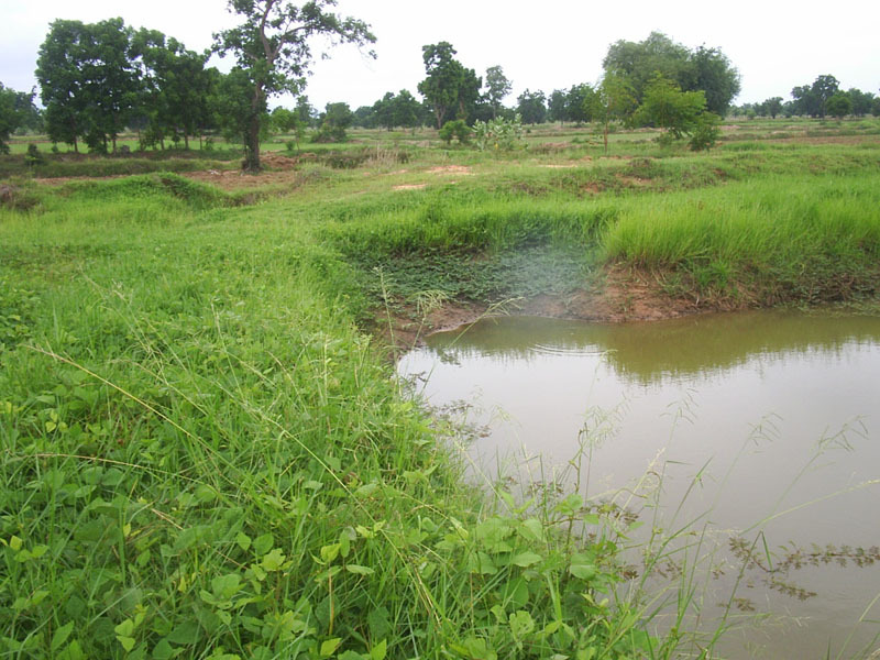 General view of the confluence (near middle of the picture, in the water)