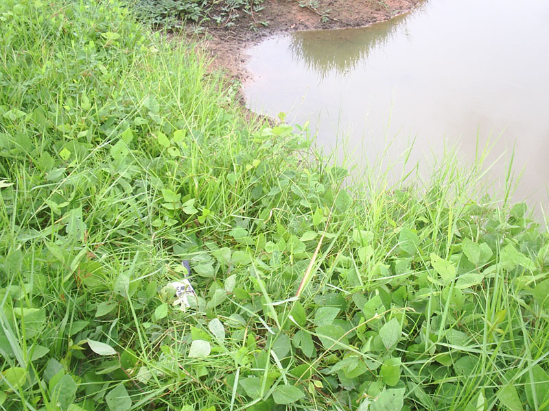 GPS at measured position; confluence is 4-5 m to the right, in the water