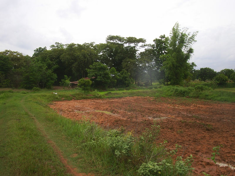 Farm next to the confluence (looking northwest, CP about 35 m behind trees)