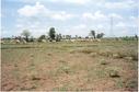 #7: Cows grazing near the confluence