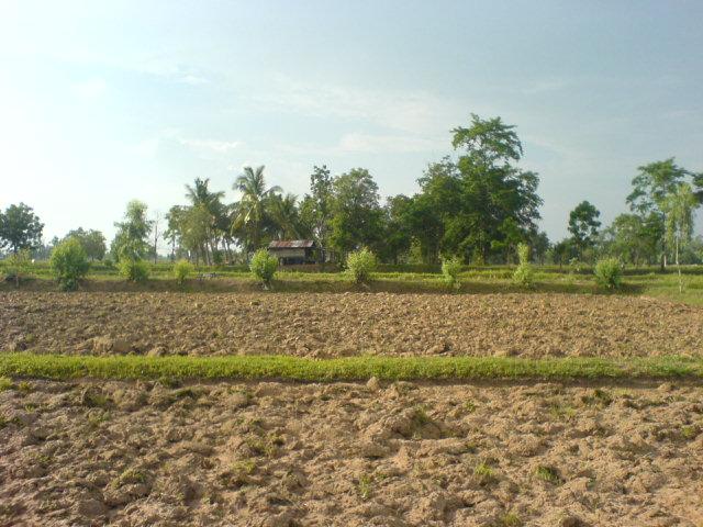 North from the confluence - a dwelling - soon to be known as Baan Confluence (Confluence House)