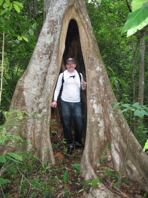 Rain shelter as provided by mother nature