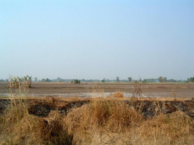 Looking North from the Confluence