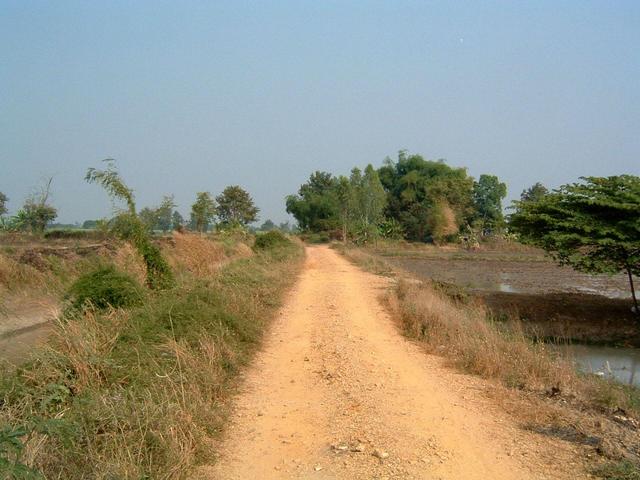 Looking East from the Confluence