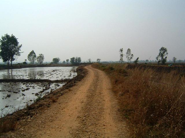 Looking West from the Confluence