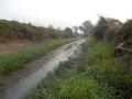 #10: The Confluence Ditch