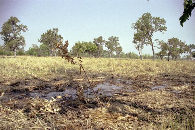 Branch stuck into mud marks the spot; View north-east