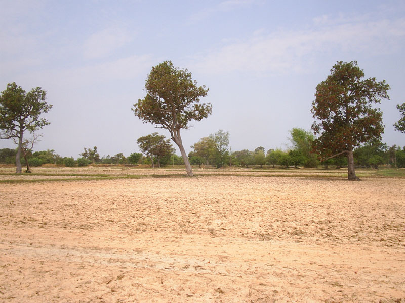 Looking west from the confluence